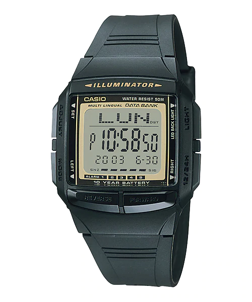Casio sales databank illuminator