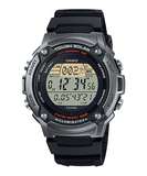 WS-200H-1A